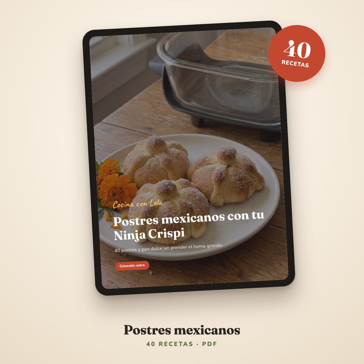 Portada de la guía en una tablet